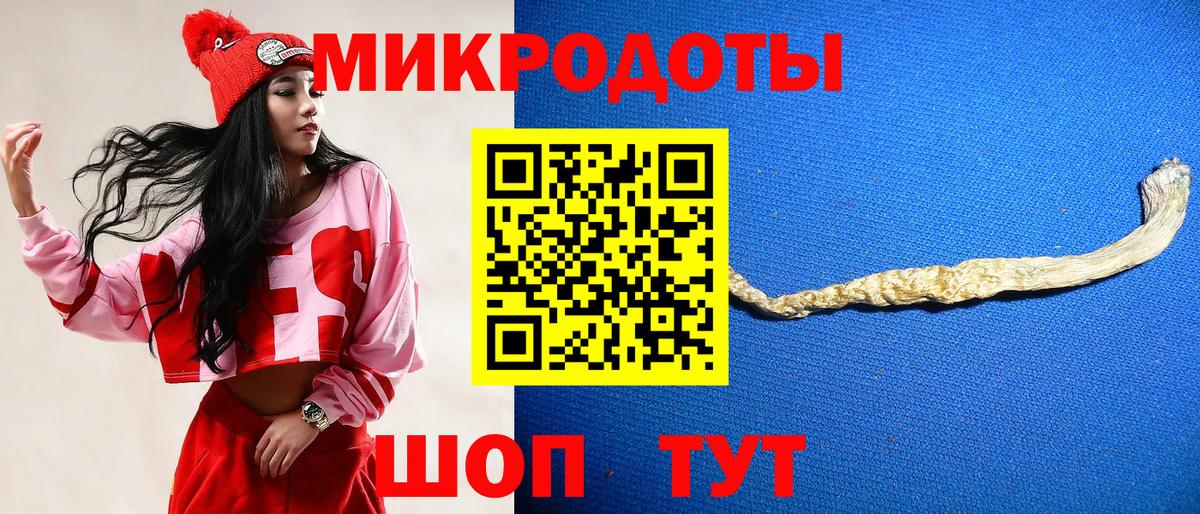 Псилоцибиновые грибы Cubensis  Вход с VPN  Набережные Челны 
